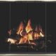 Stoll Industries Arcadia Glass Fireplace Door