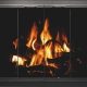 Stoll Industries Original Standard Glass Fireplace Door