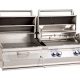 Aurora A830i grill for gas or charcoal applications