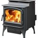 Lopi Endeavor Next-Gen Fyre Wood Stove