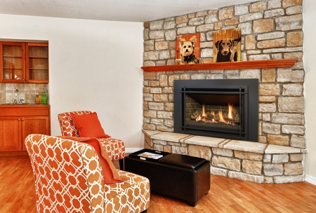 The Chaska 355S is a beautiful traditional fireplace insert